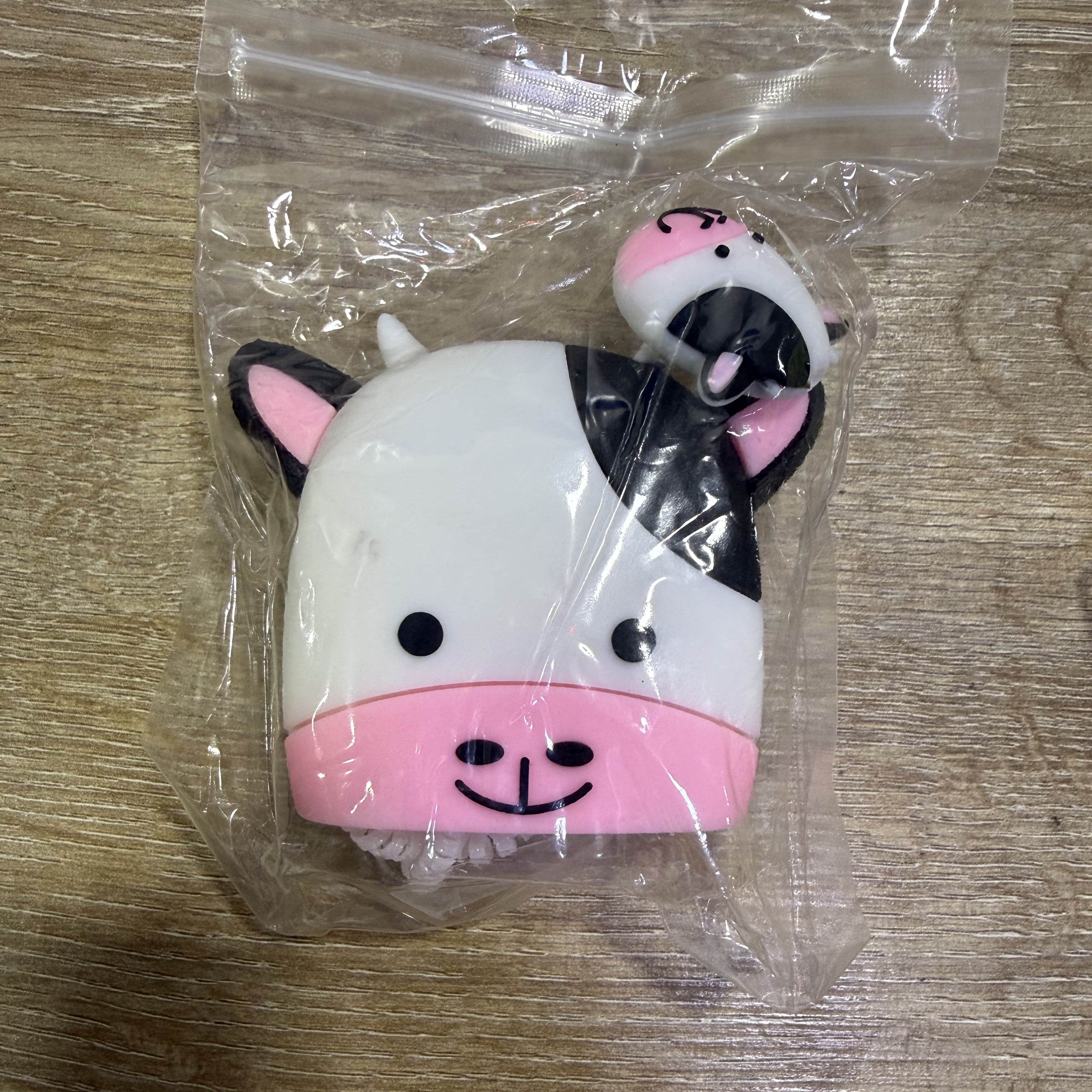 Forros Protectores para Cargador iPhone – Diseños Variados